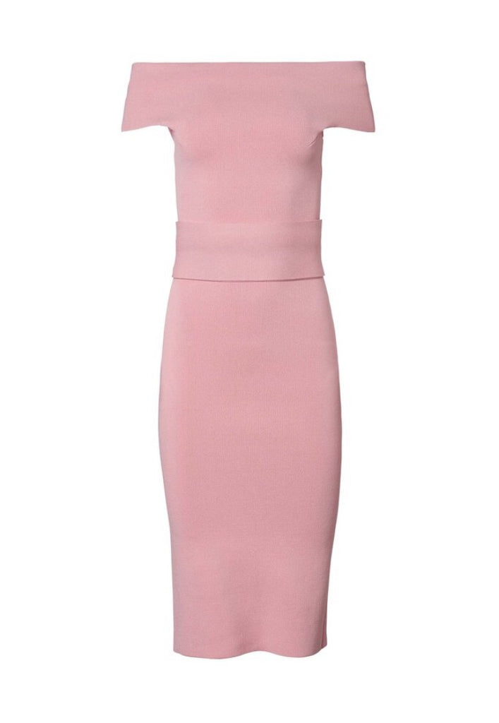 Product shot with white background of Scanlan Theodore Crepe Knit Milano dress in Pink.